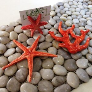 Ramo e Stella Corallo